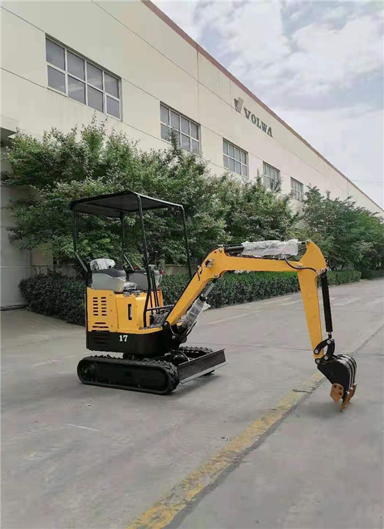 mini excavator (19)